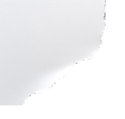 Wall Mural - torn edge of white paper on a blank background transparent