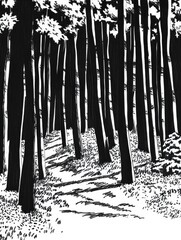 Leinwandbilder - The artwork showcases a detailed forest with tall, shadowy trees and a winding path, revealing an enchanting natural landscape. Generative AI