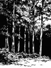 Leinwandbilder - A dense forest showcases intricate tree details with rich shadows, inviting viewers into its captivating, natural beauty. Generative AI