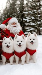 Three fluffy Samoyed dogs, donning bright red, joyfully relax in a sleigh, set against a vibrant Christmas tree adorned with ornaments and lights