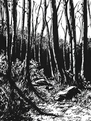 Leinwandbilder - A detailed black ink sketch reveals a dense forest alive with intricate trees casting shadows, inviting exploration and wonder. Generative AI