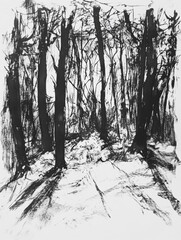 Leinwandbilder - A dense forest is portrayed with intricate details in trees and shadows, capturing a serene atmosphere of nature's beauty. Generative AI