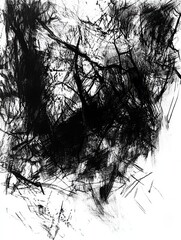 Leinwandbilder - This artwork features a detailed black ink representation of a dense forest, showcasing intricate tree details and deep shadows. Generative AI