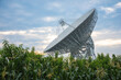 © 江乐 陈 - Songjiang District, Shanghai - Radio telescope under the setting sun