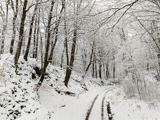 Wall Mural - Winter frozen forest after a snow blizzard in Poland.