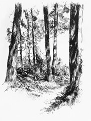 Leinwandbilder - A dense forest is illustrated in black ink, showcasing detailed tree structures and intricate shadows that create depth and atmosphere. Generative AI