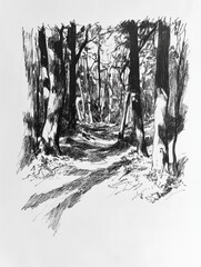 Leinwandbilder - A detailed black ink sketch captures a dense forest with trees casting shadows along a winding path, evoking a serene atmosphere. Generative AI