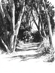 Leinwandbilder - A winding forest path enveloped by intricately detailed trees casting deep shadows, inviting exploration. Generative AI