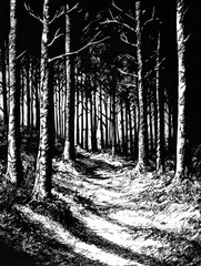 Leinwandbilder - A dense forest is depicted with intricate tree details and shadows, featuring a winding path inviting exploration through nature. Generative AI