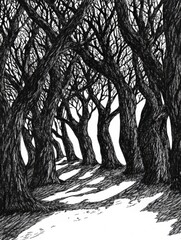 Leinwandbilder - The artwork captures a dense forest filled with intricately detailed trees and deep shadows, inviting exploration along a winding path. Generative AI