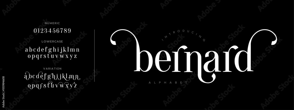 Bernard typography beauty fashion elegant minimalist serif italic fonts ...