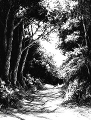 Leinwandbilder - A detailed forest pathway emerges through tall trees, showcasing intricate shadows and sunlight filtering through the foliage. Generative AI