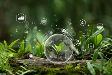 Wall Mural - renewable energy and environmental protection. sustainable energy sources and sustainable developmen
