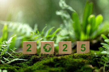 Wall Mural - happy new year 2025. environmental protection with achieving business goals.2025 text with a green w