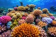 © Maneerat - Coral polyps and coral colonies in a vibrant coral reef environment, marine biology, coral reefs