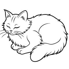 Ragdoll cat sleeping vector illustration.