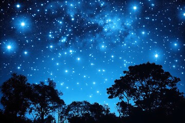 Wall Mural - a starry night sky illuminated by countless stars, framed by silhouettes of trees.