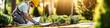 © The Little Hut - Landscape Architect Designing Outdoor Garden with Blueprints : Generative AI