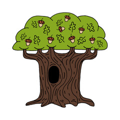 big old oak tree with acorns. vector cartoon illustration isolated on white.