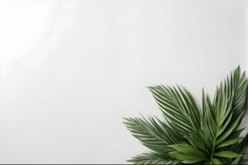 Tropical palm leaves on white background, flat lay. Space for text