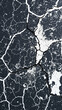 © Rysak - dark surface with intricate white cracks