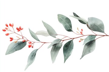 Eucalyptus and Red Flower. Watercolor Floral Illustration on White Background