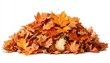 © Anastasiia - A vibrant pile of autumn leaves showcasing rich orange and yellow colors on white