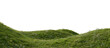 © snesivan - Grassy hill with flowers on a transparent background. 3D rendering.
