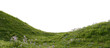 © snesivan - Grassy hill with flowers on a transparent background. 3D rendering.