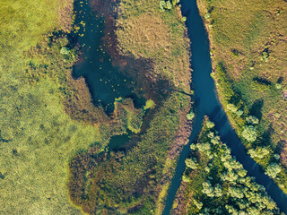 Wall Mural - Summer drone footage showcasing the beautiful patterns and textures of the Skadarsko ecosystem