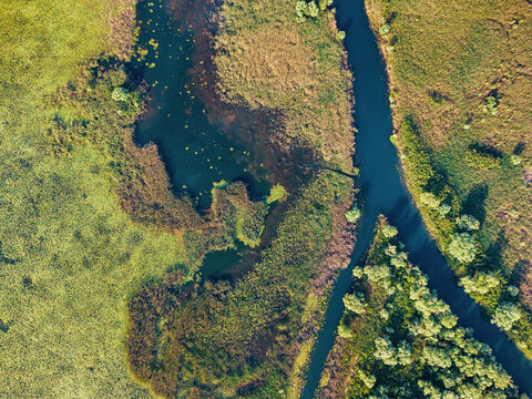 Summer drone footage showcasing the beautiful patterns and textures of the Skadarsko ecosystem
