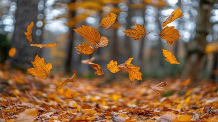 Sticker - A cluster of leaves are suspended in mid-air