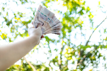 money, thai baht banknote, money in hand holding, thai currency bill on blur tree background