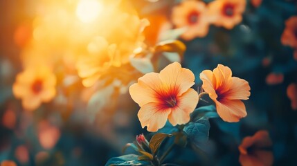 Vibrant petals glowing in sunlight, rich color saturation, intricate petal texture, gentle natural light, botanical background blur