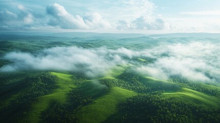 Wall Mural - Aerial View of Foggy Mountains