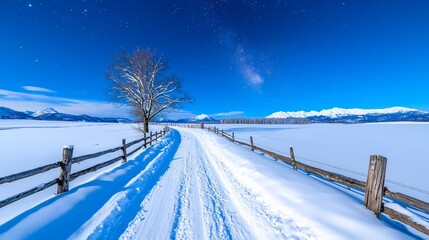 Wall Mural - winter astrophotography over a snow-covered field showing stars and planets