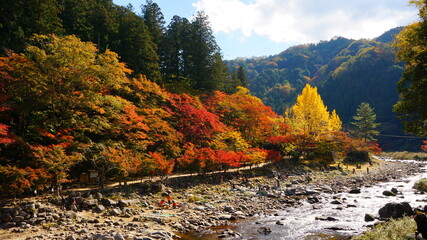 Poster - 香嵐渓の紅葉