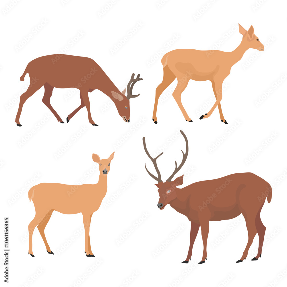 Vector illustration set of deer in cartoon flat style. Male or female ...