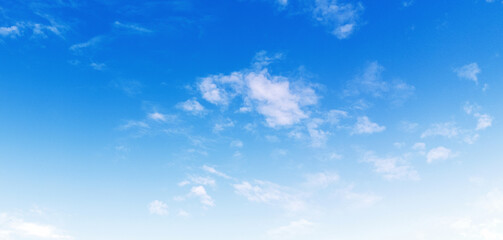 Wall Mural - sky is blue and clear with no clouds