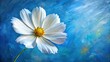 © Hugnaka - Impasto painting of white cosmo flower with yellow center on blue background