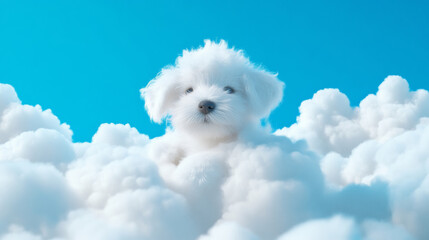 Wall Mural - 3D cute puppy dog fluffy white clouds shape blue sky cloudscape adorable pet animal fashion healing wallpaper background with copy space