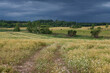 Field before thunderstorm. Vicinity of the city of Velikiye Luki. Pskov region, Russia