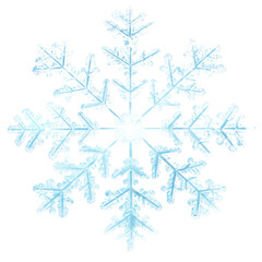 Wall Mural - snowflake white white background celebration.