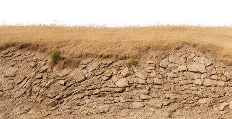 Wall Mural - PNG PNG Hilly dry grass fields backgrounds outdoors nature.