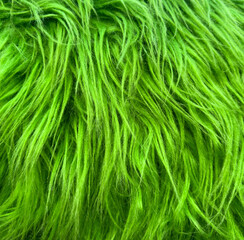 Poster - A green, fuzzy, and long-haired animal with a green coat