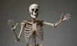 © Prasa-gg - Realistic Human Skeleton with Welcoming Pose
