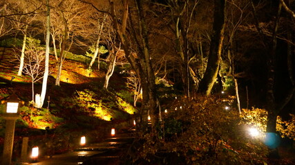  二尊院のライトアップ