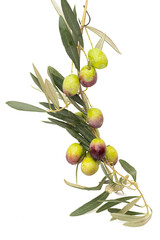 Wall Mural - fresh olives isolated