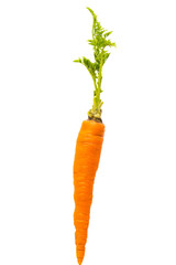 Wall Mural - carrot with leaves