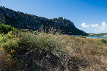 Wall Mural - tour through Greece`s beautiful nature